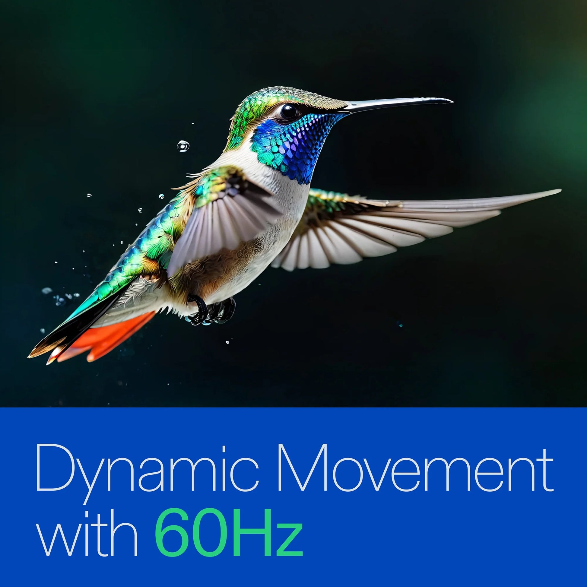 75” Class 4K UHD (2160P) LED Roku Smart Television (100044717)