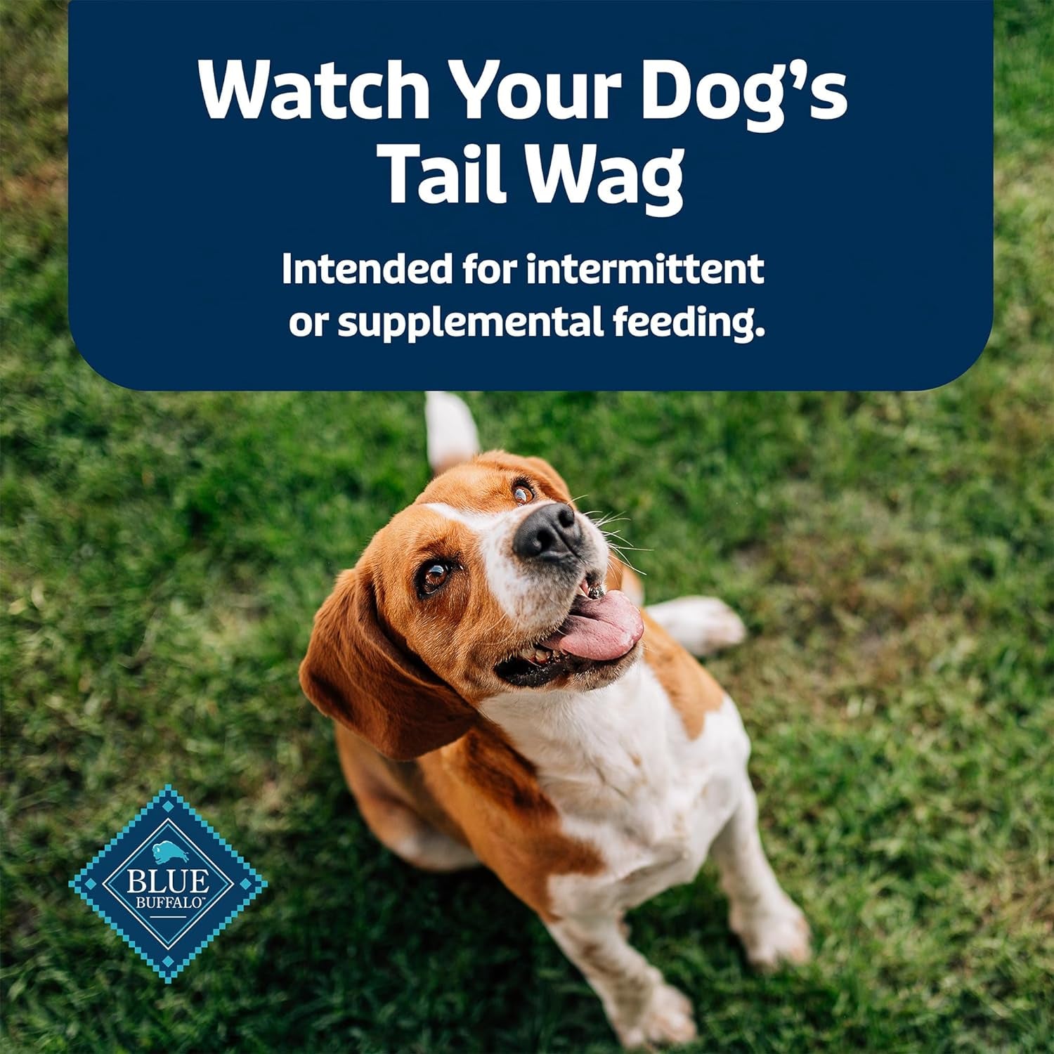 Stix Natural Soft-Moist Dog Treats - Chicken Recipe, 24 oz Bag