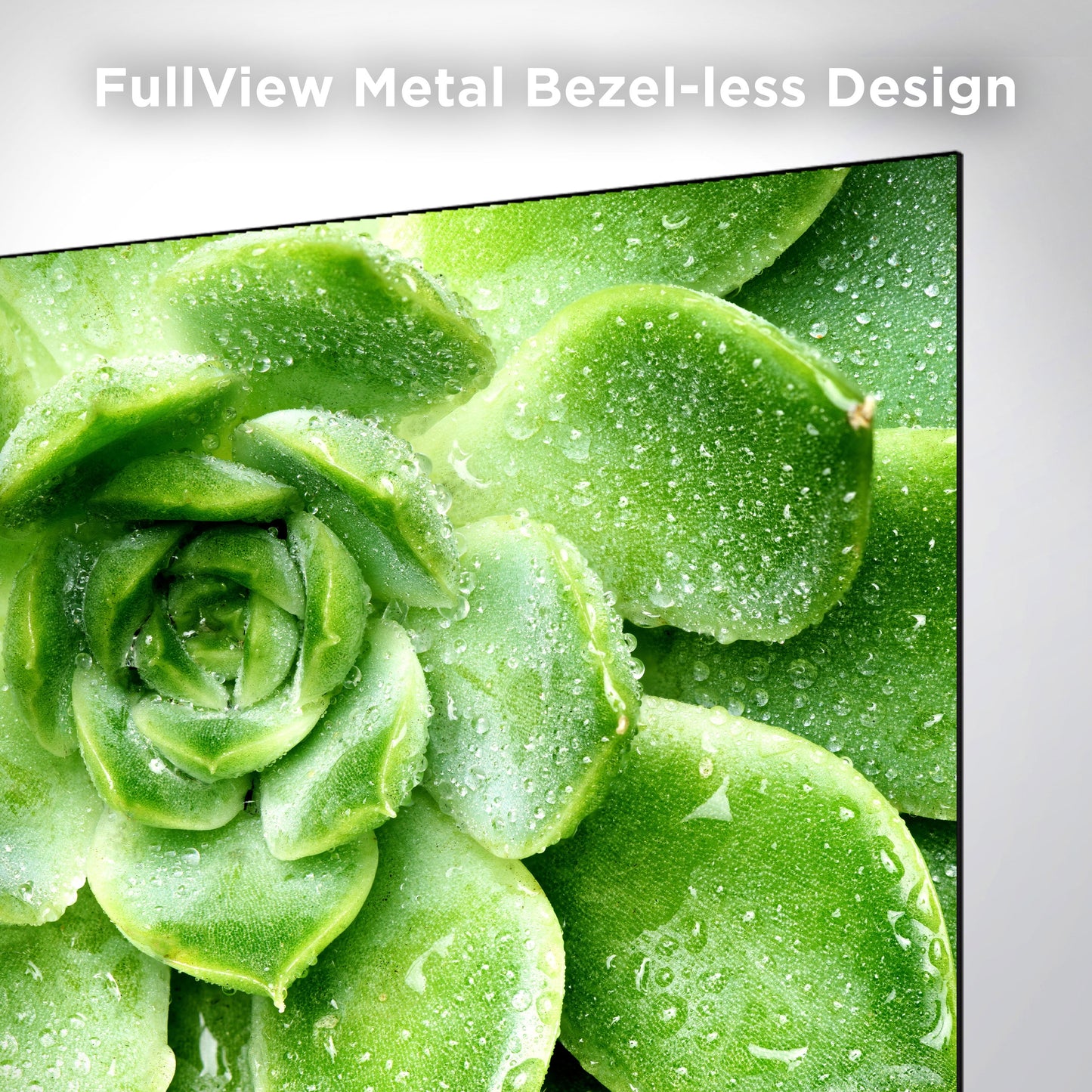 85-Inch Class S4 (85S410R) 4K UHD HDR LED Smart Television with Roku TV Integration